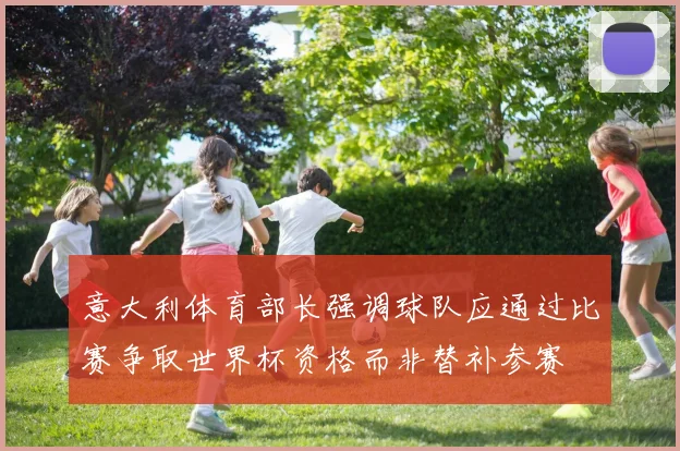 意大利体育部长强调球队应通过比赛争取世界杯资格而非替补参赛
