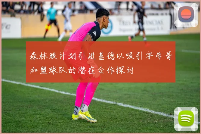 森林狼计划引进基德以吸引字母哥加盟球队的潜在合作探讨